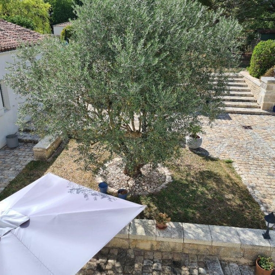 Domaines / Propriétés LA ROCHELLE (17000) 281.00m2 832 000 € 