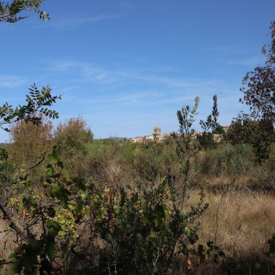 Terrain LA LIVINIERE (34210) m2  - 69 000 € 
