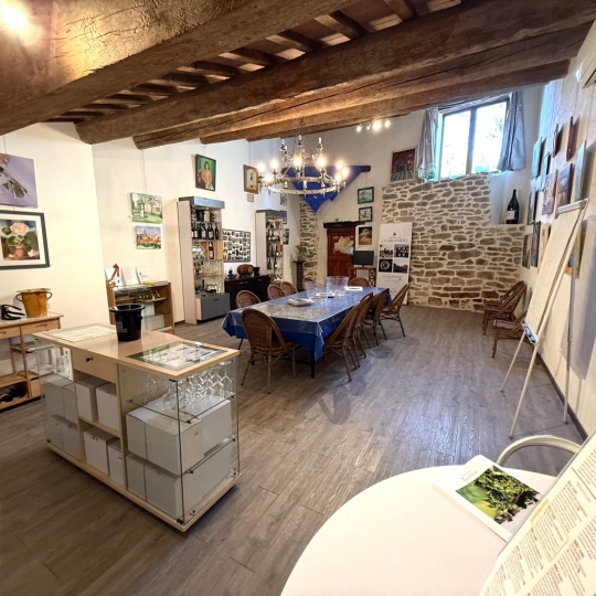 Domaines / Propriétés LA LIVINIERE (34210) 270.00m2 792 000 € 