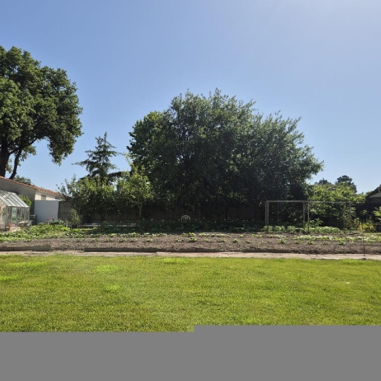 Terrain SAINTE-FOY (85150) 533.00m2  - 90 000 € 