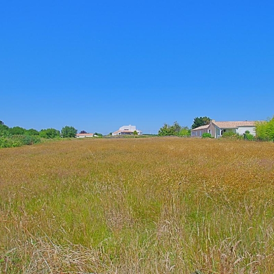 Terrain L'ILE-D'OLONNE (85340) 3305.00m2 182 900 € 