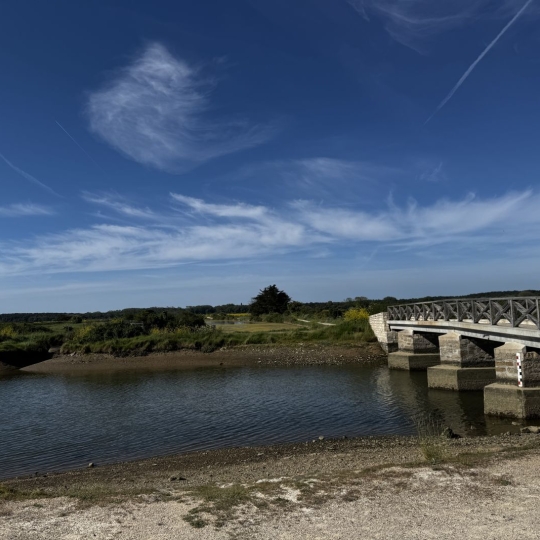 Terrain L'ILE-D'OLONNE (85340) 530.00m2 - 92 500 € 