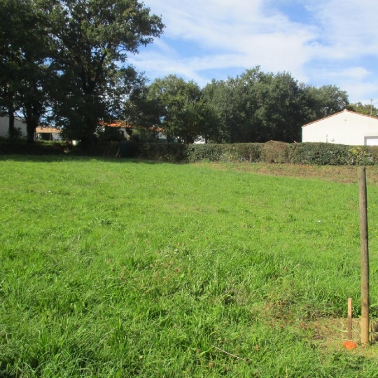 Réseau Immo-diffusion : Terrain SAINTE-FOY (85150) 385.00m2  74 000 € 