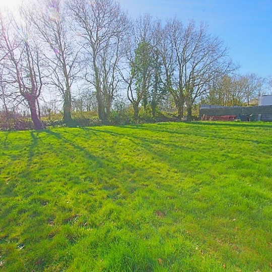 Terrain SAINTE-FOY (85150) 697.00m2 89 900 € 