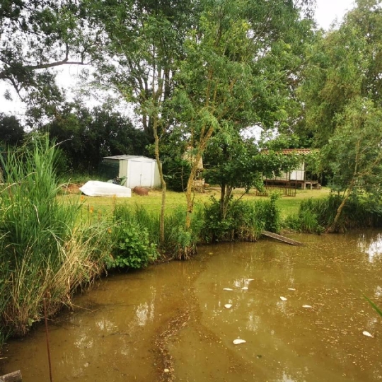 Terrain TALMONT-SAINT-HILAIRE (85440) 9295.00m2 - 69 900 € 