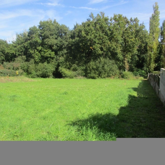 Terrain SAINTE-FOY (85150) 2348.00m2 169 900 € 