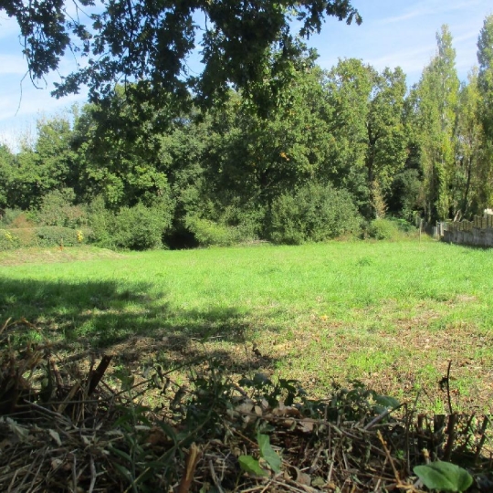 Terrain SAINTE-FOY (85150) 750.00m2  - 159 900 € 