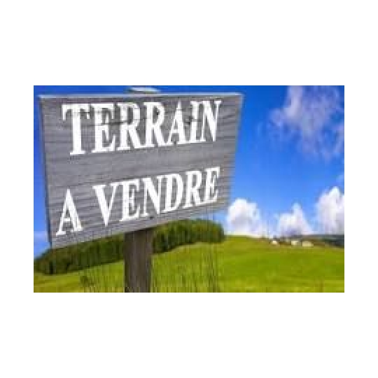 Terrain SALLELES-D'AUDE (11590) m2 215 000 € 