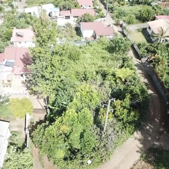 Autre LE GUILLAUME (97423) 1217.00m2 106 607 € 