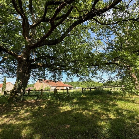 Maison / Villa VILLEMURLIN (45600) 240.00m2 990 000 € 