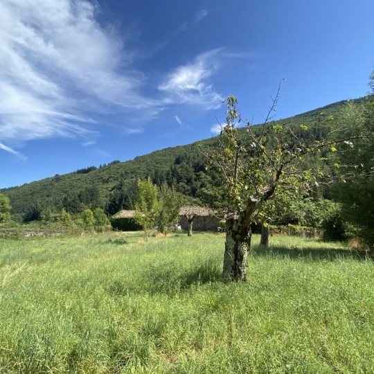 Terrain BARNAS (07330) m2 35 000 € 