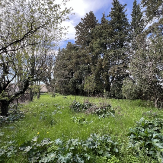 Terrain CONNAUX (30330) m2 95 000 € 