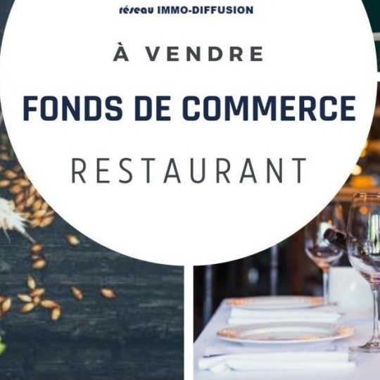 Commerces BEAUCHAMP (95250) 60.00m2 220 000 € 