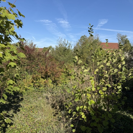 Terrain EPIAIS-RHUS (95810) m2 153 000 € 