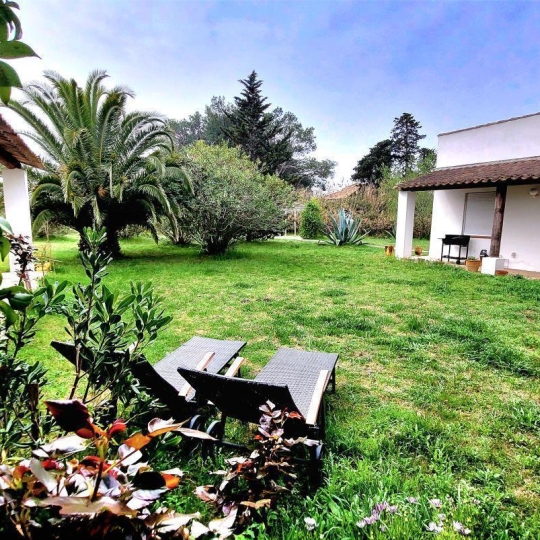 Domaines / Propriétés SAINTES-MARIES-DE-LA-MER (13460) 320.00m2 1 271 000 € 