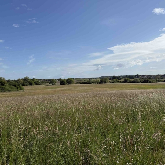 Terrain HOLVING (57510) m2 53 000 € 