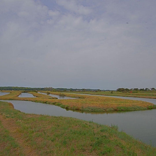 Terrain OLONNE-SUR-MER (85340) m2 49 900 € 