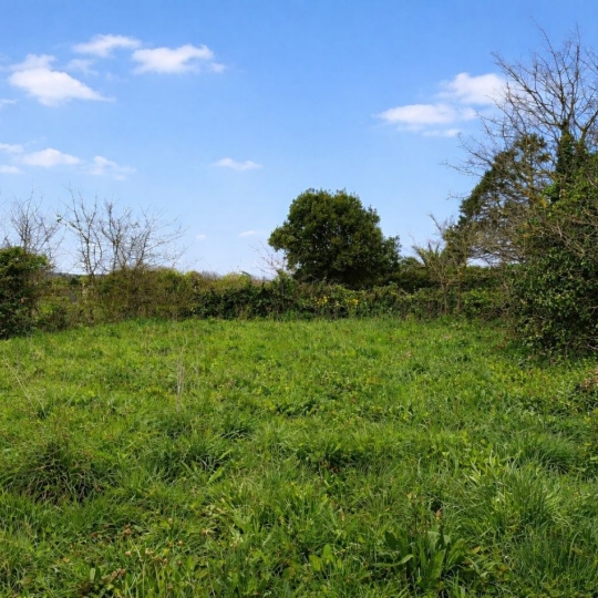 Terrain VICQ-SUR-MER (50330) m2 54 500 € 