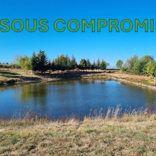 Terrain SAINT-MEDARD-EN-FOREZ (42330) m2 95 000 € 