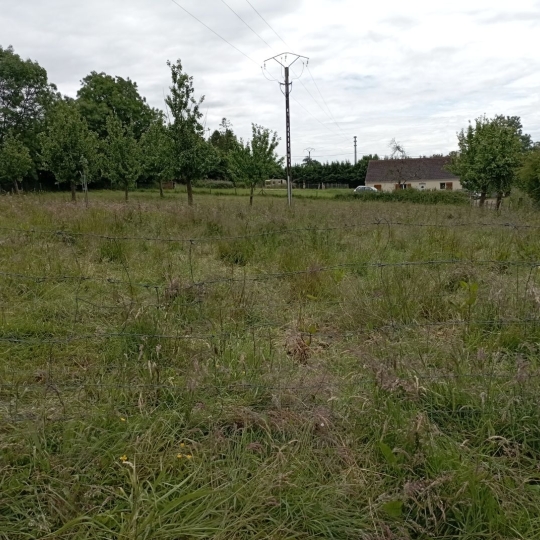 Terrain LE TOURNEUR (14350) 1000.00m2 30 000 € 