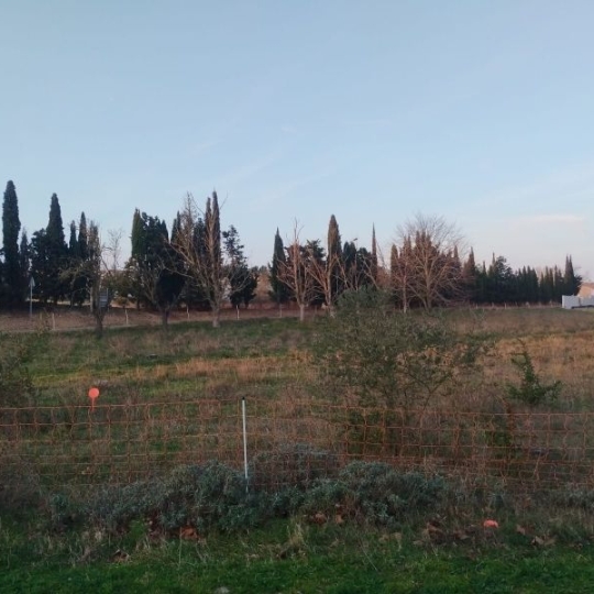 Terrain MOUSSOULENS (11170) m2 70 000 € 