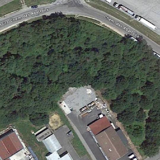 Terrain SAINT-JUNIEN (87200) 10436.00m2 263 750 € 