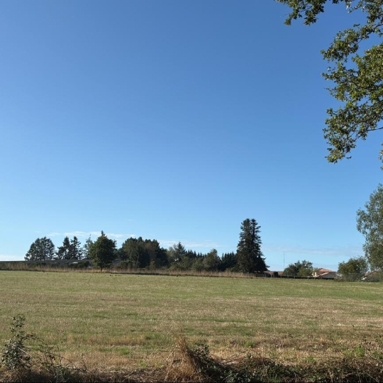 Terrain FLAVIGNAC (87230) 2000.00m2 28 625 € 