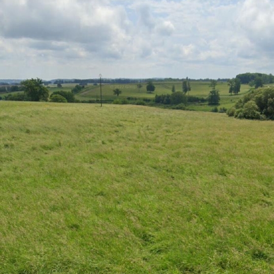 Terrain FLAVIGNAC (87230) 6392.00m2 28 500 € 