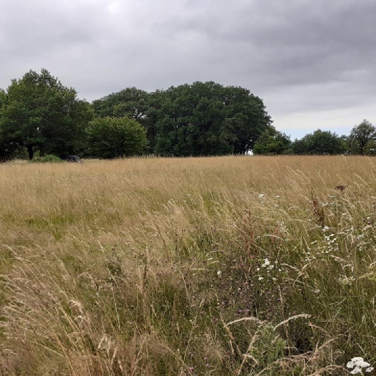 Terrain SAINT-PRIEST-SOUS-AIXE (87700) 6611.00m2 5 000 € 