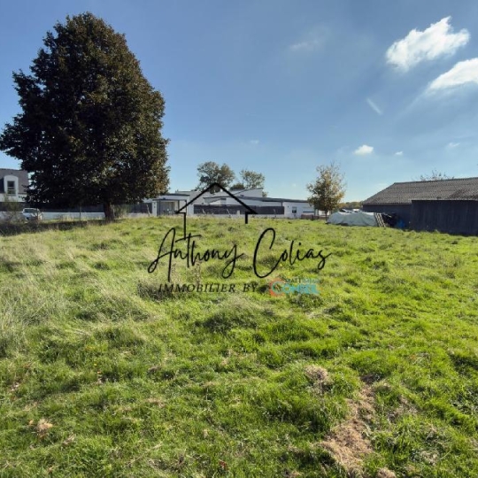 Terrain MARZAN (56130) 653.00m2 85 000 € 