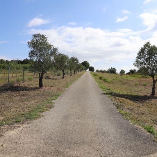 Propriété CARCASSONNE (11000) 400.00m2  - 1 290 000 € 