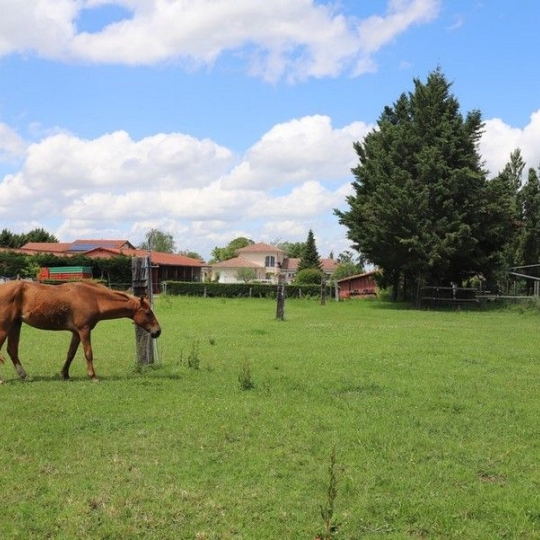 Domaines / Propriétés PAMIERS (09100) 200.00m2 1 300 000 € 