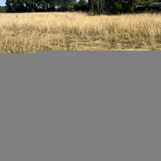 Terrain AIGREFEUILLE-SUR-MAINE (44140) m2 93 900 € 