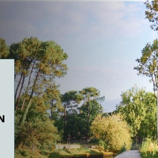 Commerces CAPBRETON (40130) 50.00m2 280 000 € 