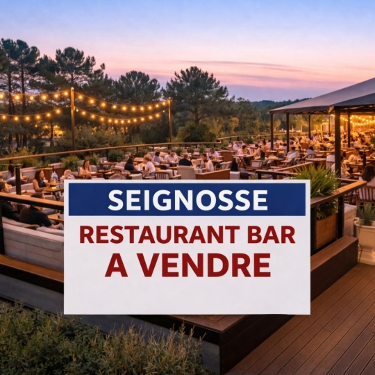 Commerces SEIGNOSSE (40510) 80.00m2 208 240 € 