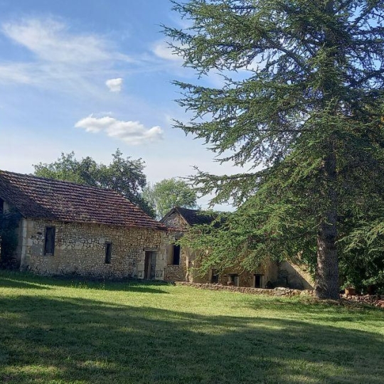 Domaines / Propriétés SAINT-GEORGES-DE-MONTCLARD (24140) 350.00m2 840 000 € 