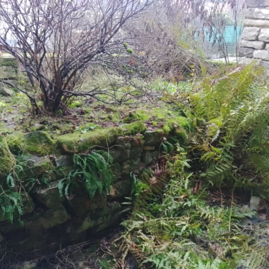 Maison / Villa GRIPPORT (54290) 100.00m2 25 000 € 