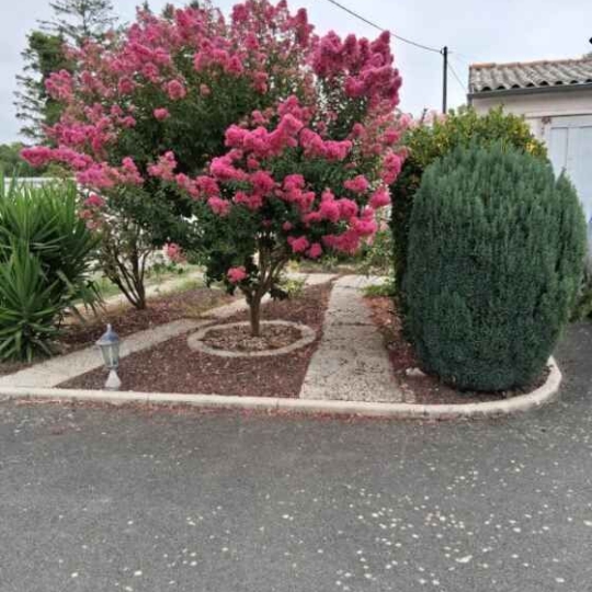 Maison SAINT-MARTIN-DE-FRAIGNEAU (85200) 145.00m2 - 176 500 € 