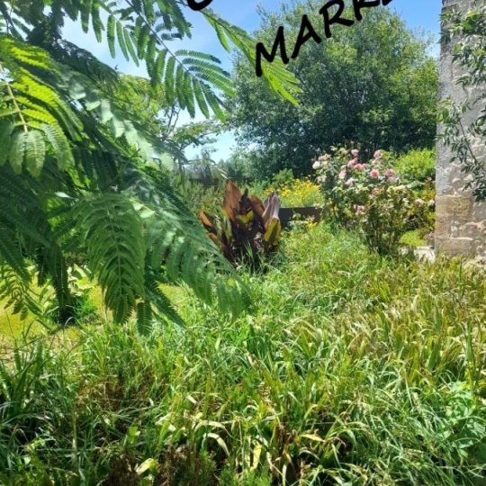 Maison / Villa BERGERAC (24100) 240.00m2 320 000 € 