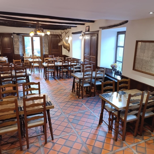 Commerces FERRIERES-SAINT-MARY (15170) 267.00m2 350 000 € 