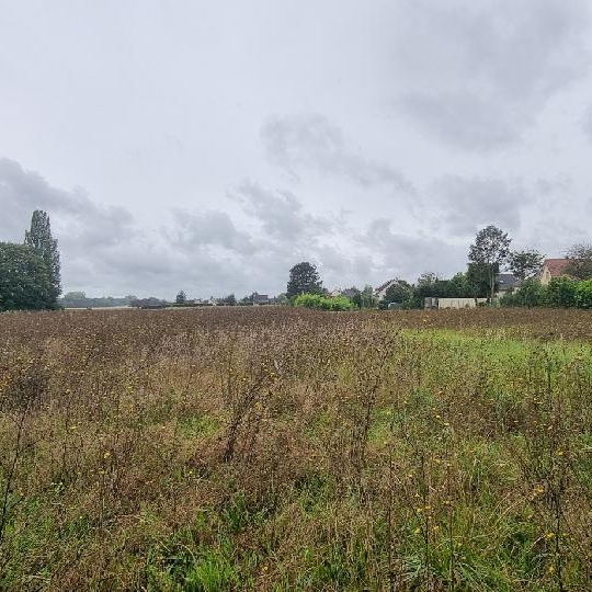Terrain COURLON-SUR-YONNE (89140) 4100.00m2 37 500 € 
