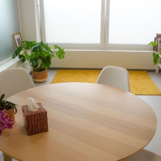 Local / Bureau SAINT-BLAISE-LA-ROCHE (67420) 25.00m2 480 € 