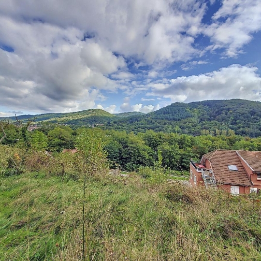 Terrain WISCHES (67130) 1429.00m2  - 75 000 € 