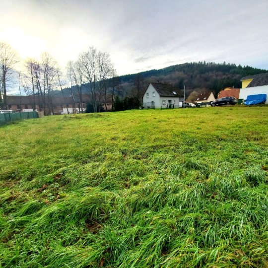 Terrain SCHIRMECK (67130) 606.00m2 87 000 € 
