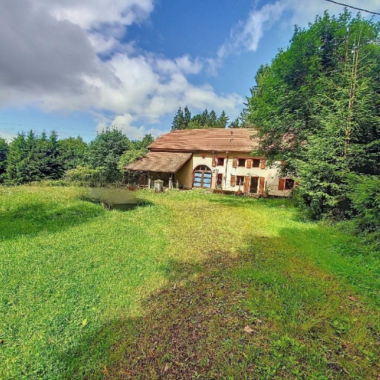 Maison / Villa SAINT-STAIL (88210) 140.00m2 242 000 € 