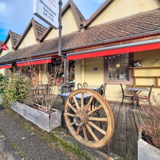 Maison / Villa RANRUPT (67420) 1220.00m2 370 000 € 