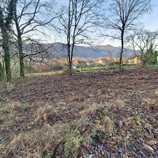 Terrain RUSS (67130) 1904.00m2 87 000 € 