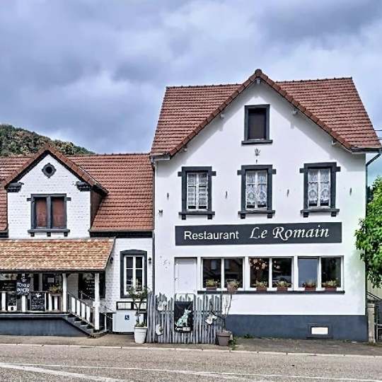 Autre LA BROQUE (67130) 352.00m2 - 525 000 € 