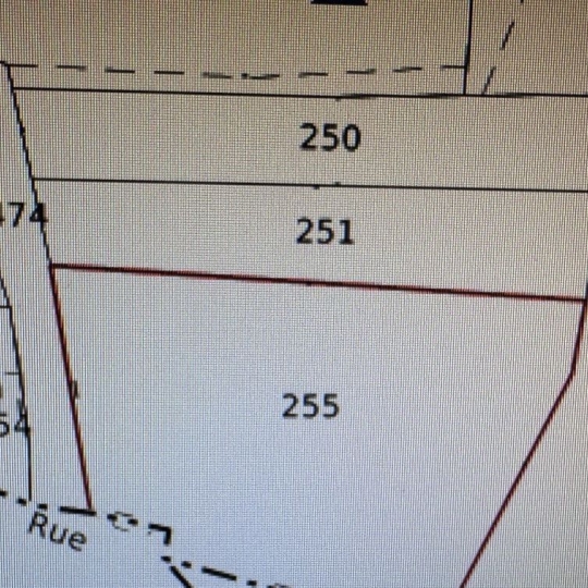 Terrain PETITMONT (54480) m2 20 000 € 