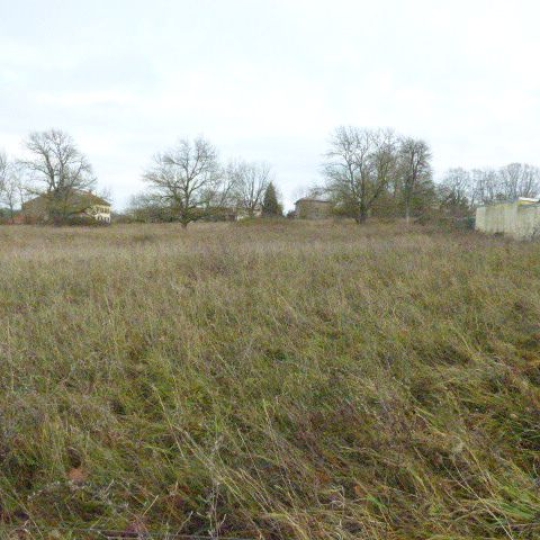 Terrain BLAMONT (54450) m2 27 500 € 